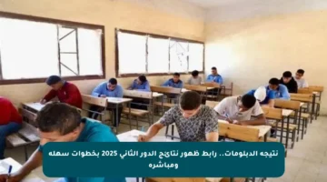 نتيجة الدبلومات.. رابط ظهور نتائج الدور الثاني 2025 بخطوات سهلة ومباشرة